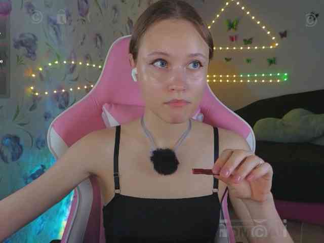 Armura webcam
