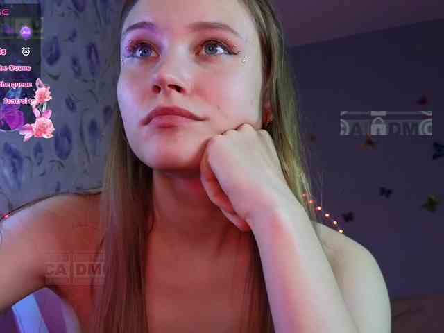 Armura webcam