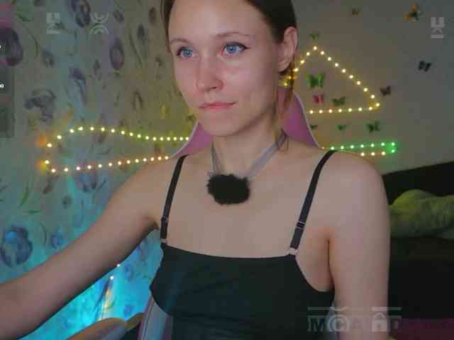 Armura webcam