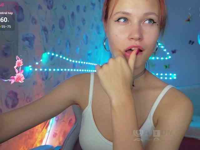 Armura webcam
