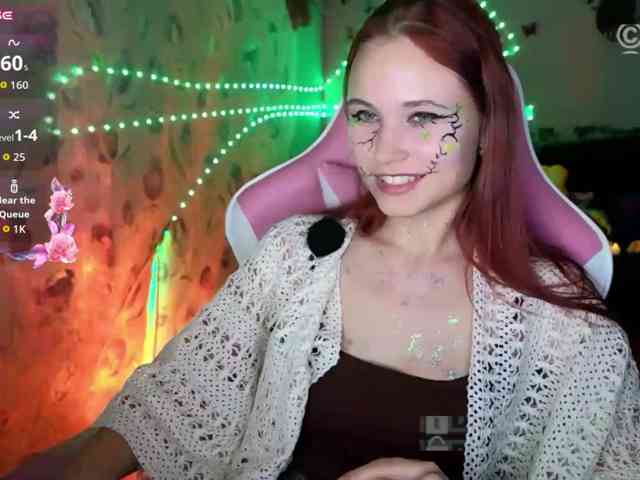 Armura webcam