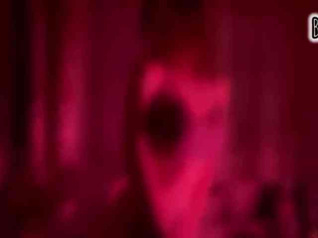 Armura webcam