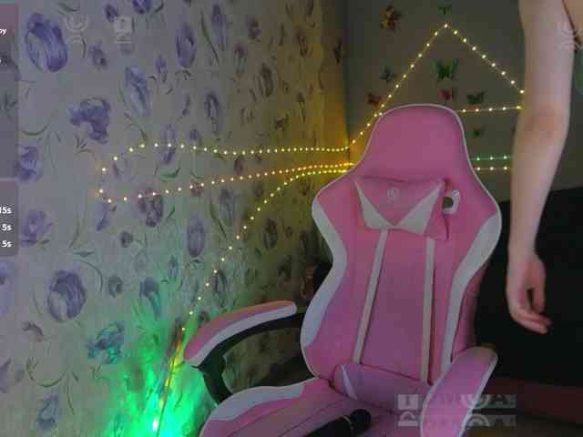 Armura webcam