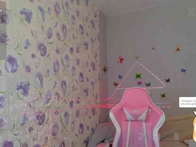 Armura webcam
