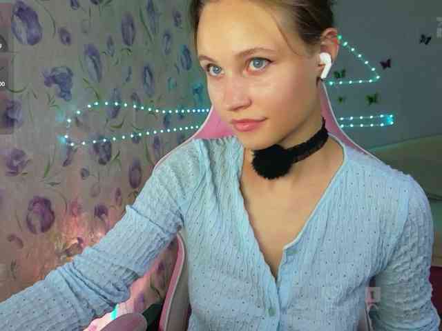 Armura webcam