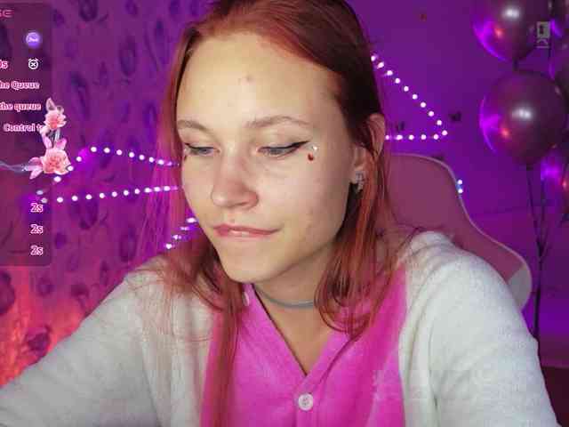 Armura webcam