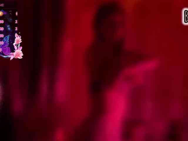 Armura webcam
