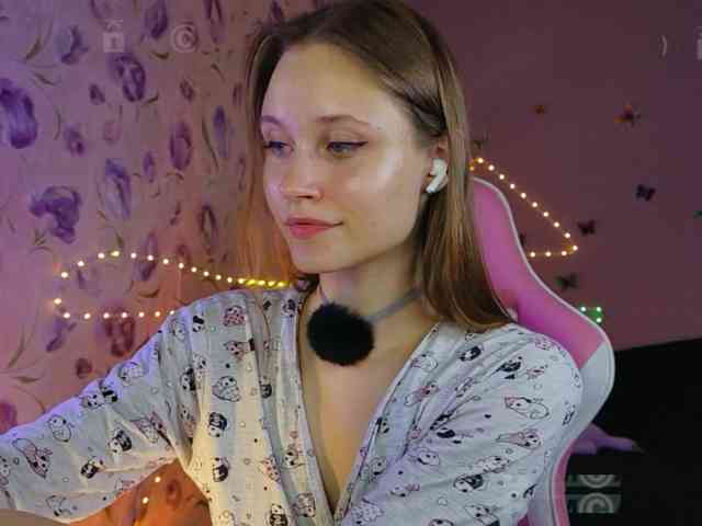 Armura webcam