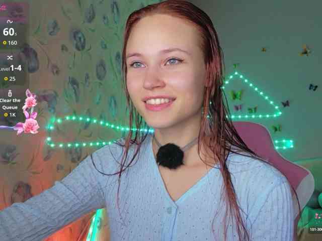 Armura webcam