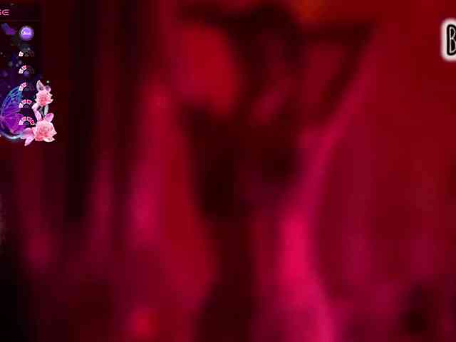 Armura webcam