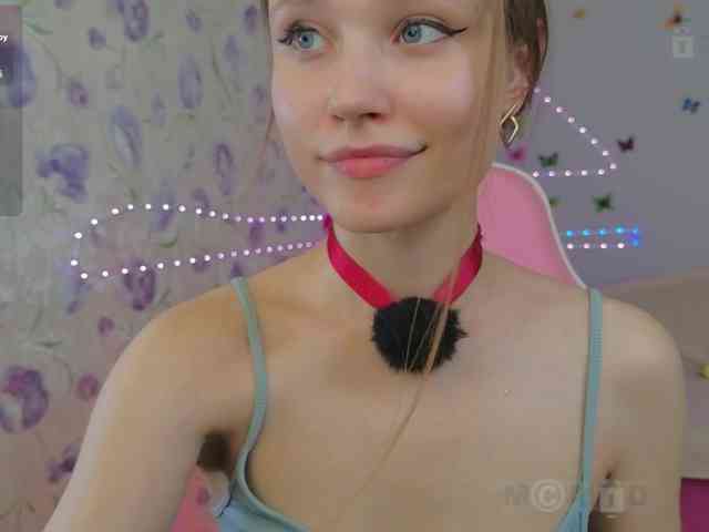 Armura webcam