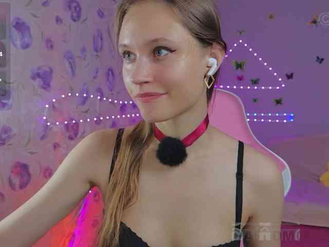 Armura webcam