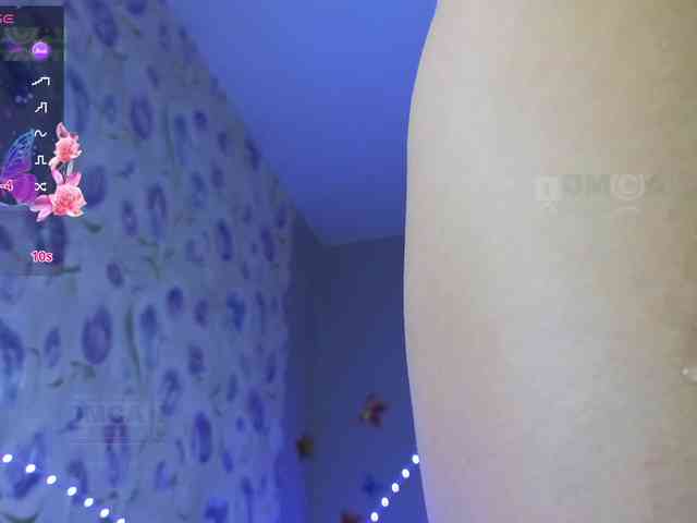 Armura webcam