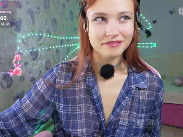 Armura webcam