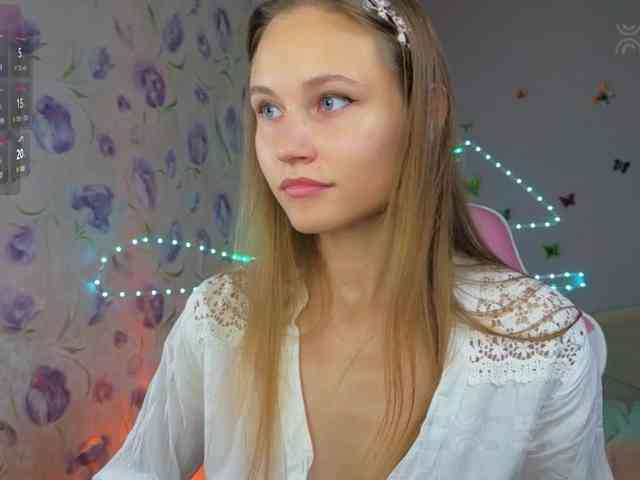Armura webcam
