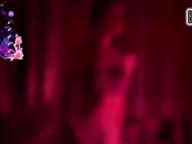 Armura webcam