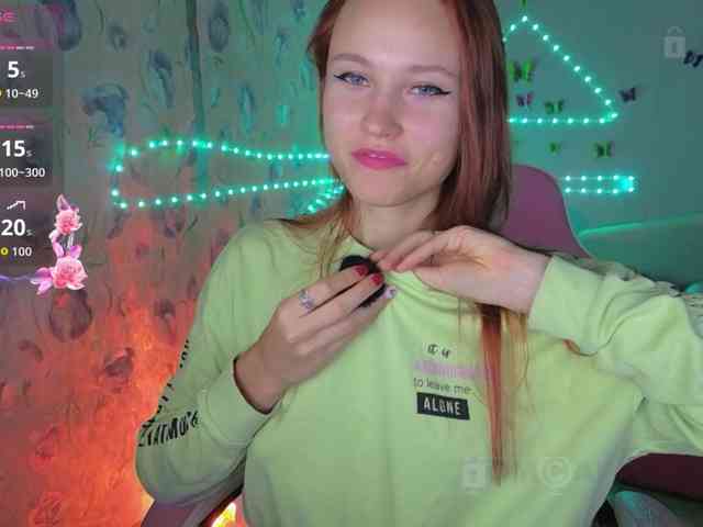 Armura webcam