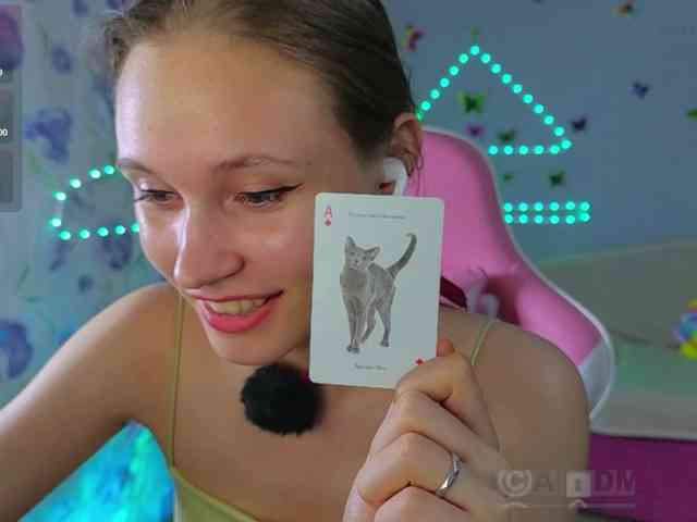 Armura webcam