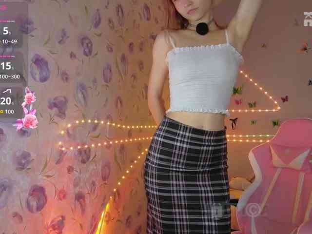 Armura webcam