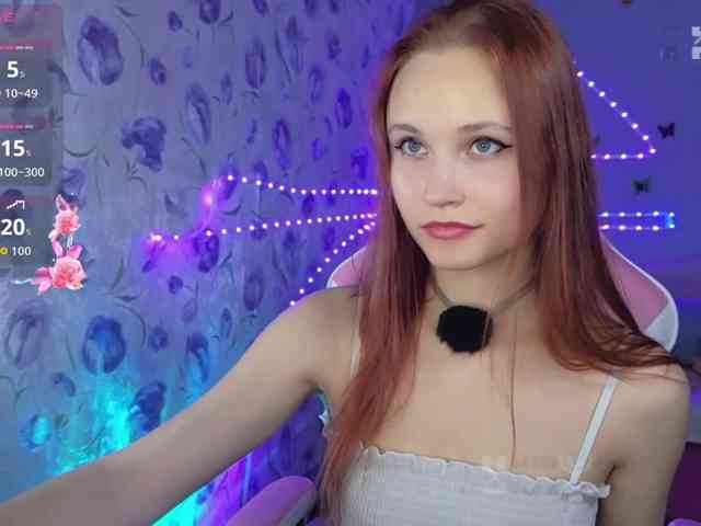 Armura webcam