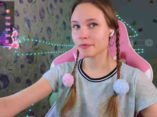 Armura webcam