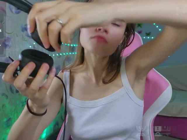 Armura webcam
