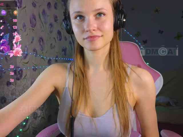 Armura webcam