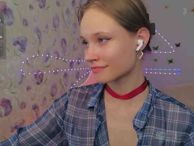Armura webcam