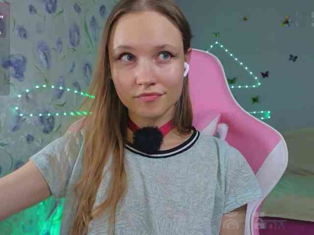 Armura webcam