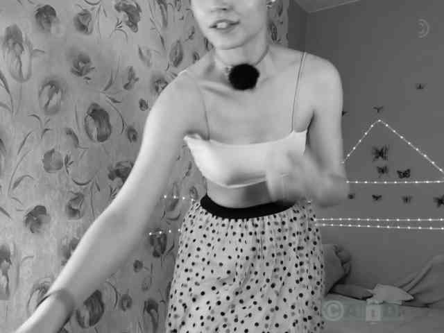 Armura webcam