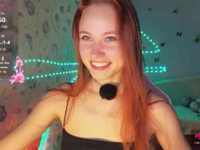 Armura webcam