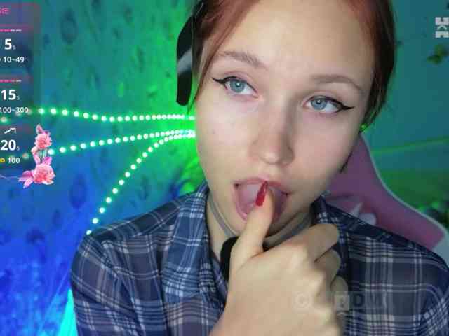 Armura webcam