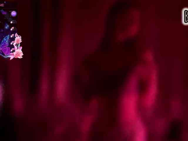 Armura webcam