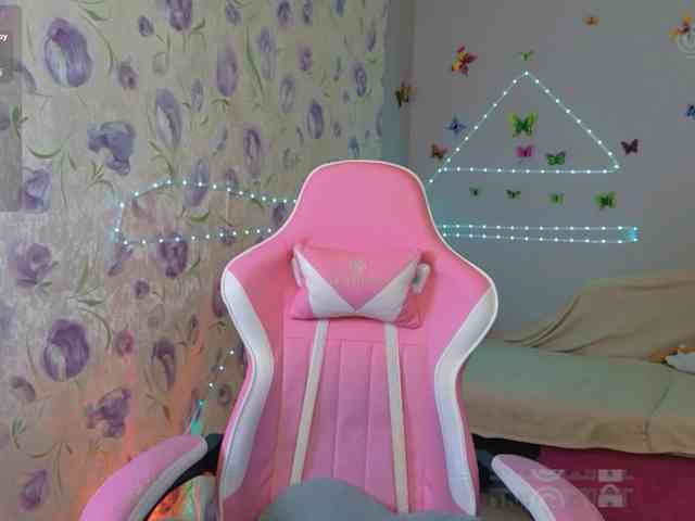 Armura webcam