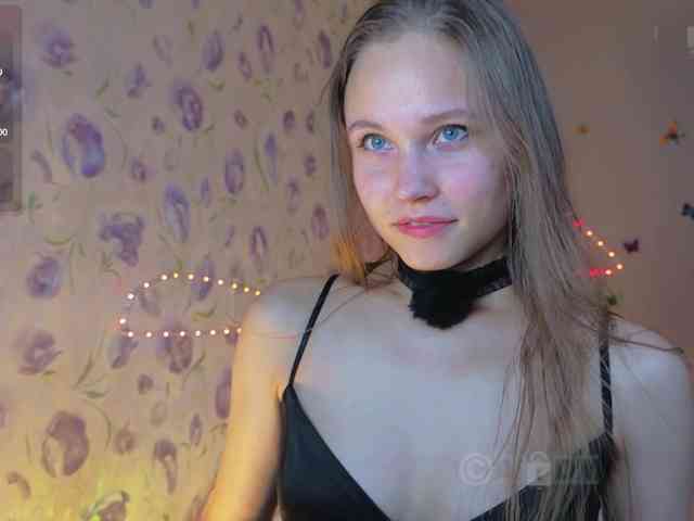 Armura webcam