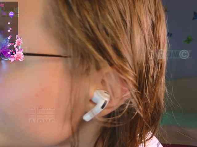 Armura webcam