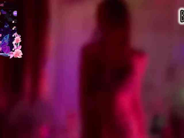 Armura webcam
