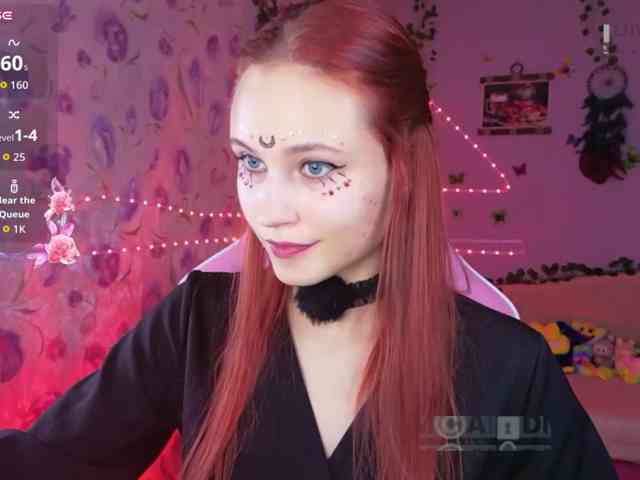 Armura webcam