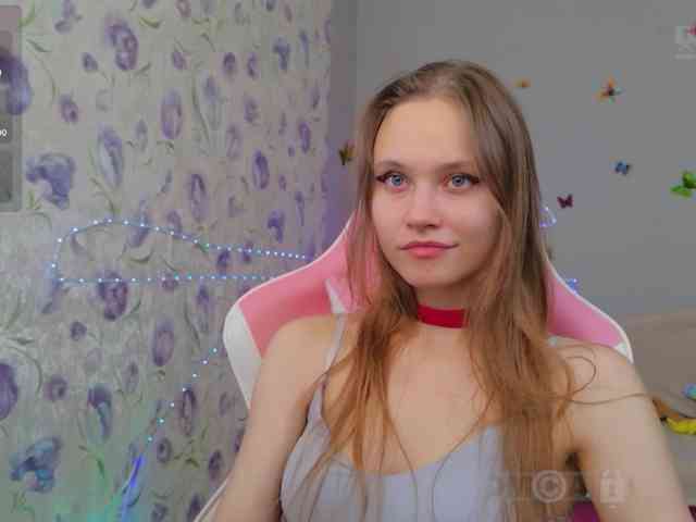 Armura webcam