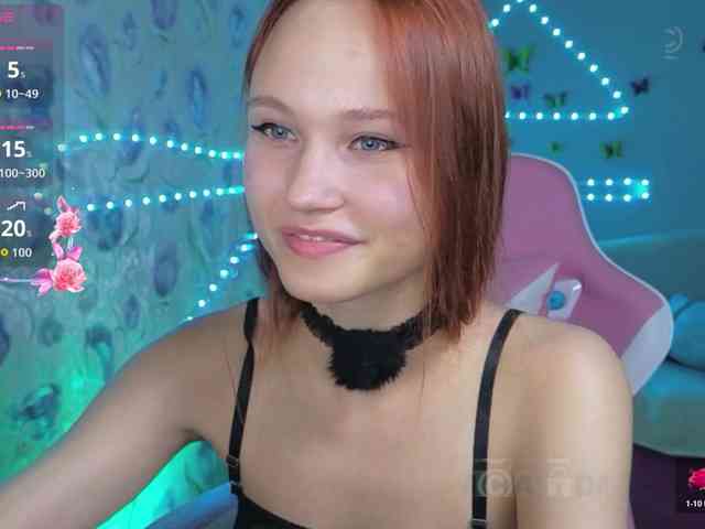 Armura webcam