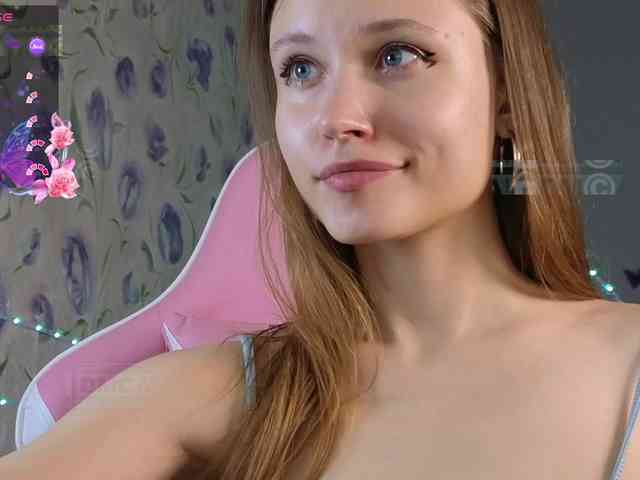 Armura webcam