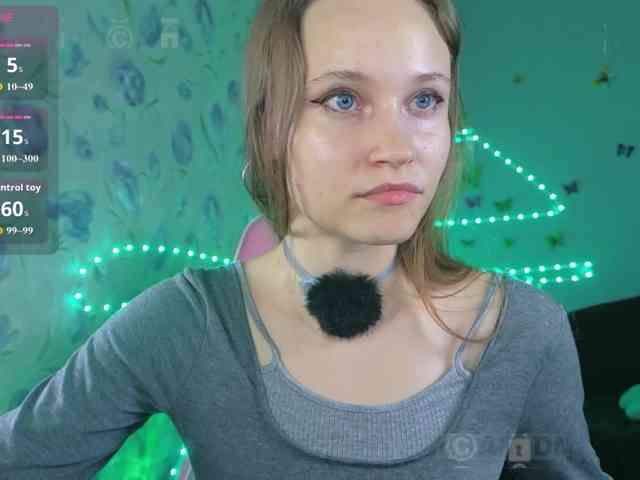 Armura webcam