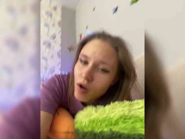 Armura webcam