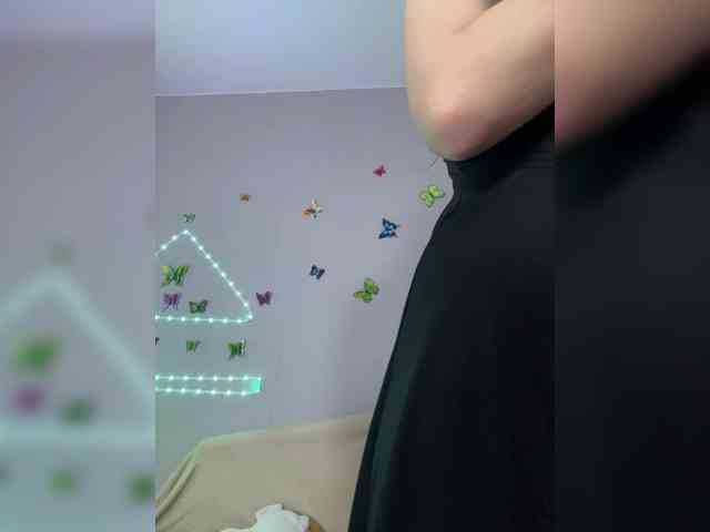 Armura webcam
