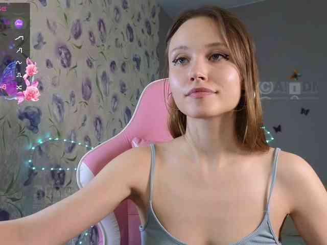 Armura webcam