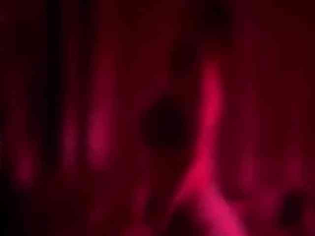 Armura webcam