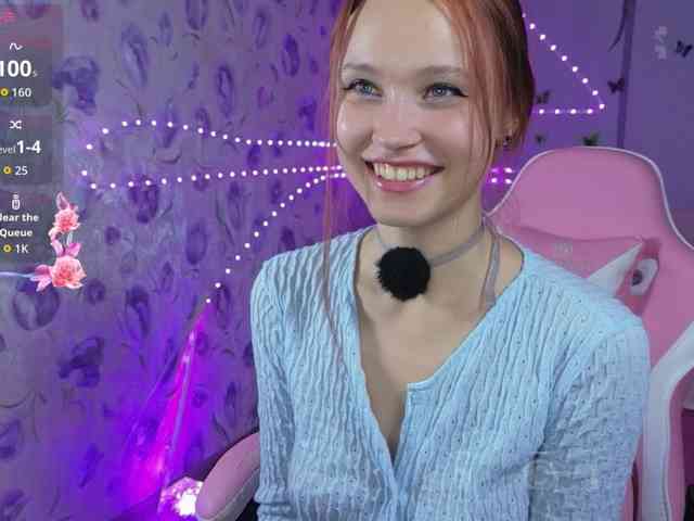 Armura webcam