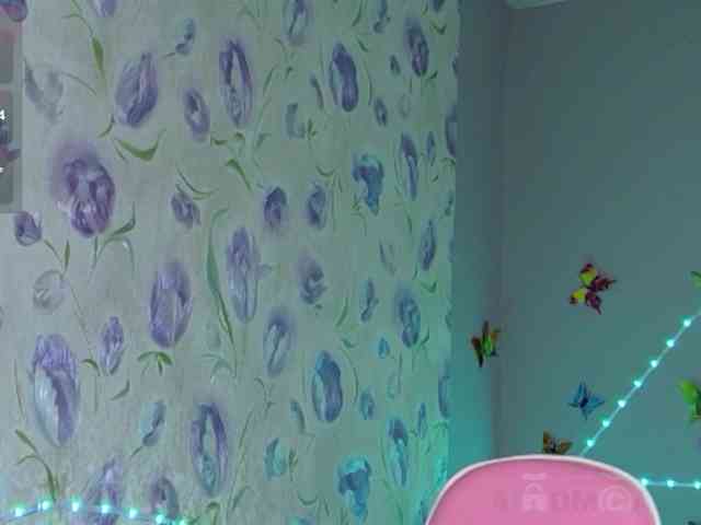Armura webcam