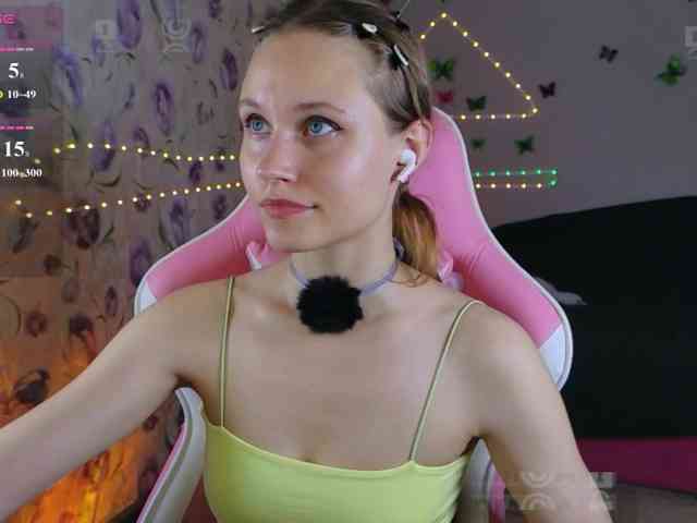 Armura webcam