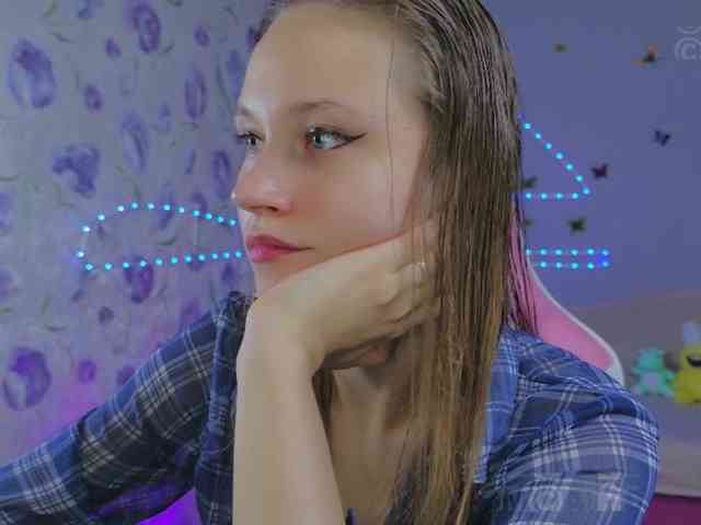 Armura webcam